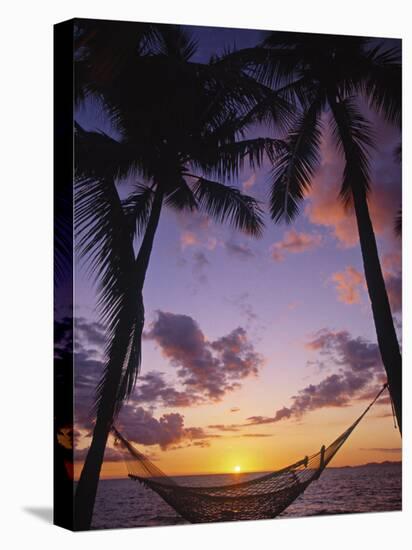 Hammock on Beach, Danarau, Viti Levu, Fiji-Neil Farrin-Stretched Canvas