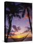 Hammock on Beach, Danarau, Viti Levu, Fiji-Neil Farrin-Stretched Canvas