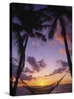 Hammock on Beach, Danarau, Viti Levu, Fiji-Neil Farrin-Stretched Canvas