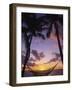 Hammock on Beach, Danarau, Viti Levu, Fiji-Neil Farrin-Framed Photographic Print