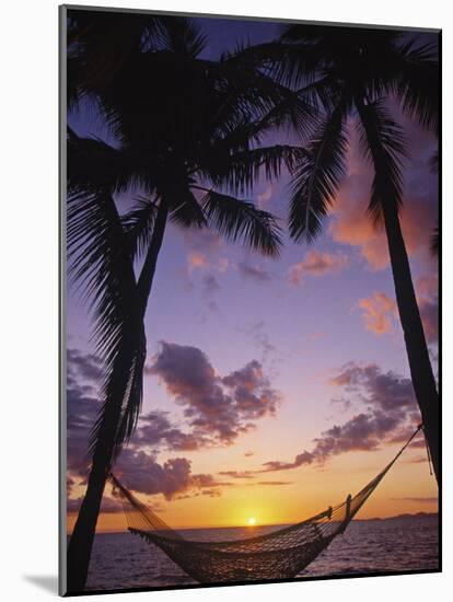 Hammock on Beach, Danarau, Viti Levu, Fiji-Neil Farrin-Mounted Photographic Print