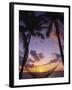 Hammock on Beach, Danarau, Viti Levu, Fiji-Neil Farrin-Framed Photographic Print