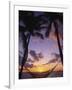 Hammock on Beach, Danarau, Viti Levu, Fiji-Neil Farrin-Framed Photographic Print