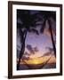 Hammock on Beach, Danarau, Viti Levu, Fiji-Neil Farrin-Framed Photographic Print