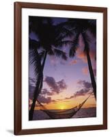 Hammock on Beach, Danarau, Viti Levu, Fiji-Neil Farrin-Framed Photographic Print