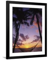 Hammock on Beach, Danarau, Viti Levu, Fiji-Neil Farrin-Framed Photographic Print