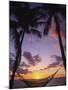 Hammock on Beach, Danarau, Viti Levu, Fiji-Neil Farrin-Mounted Photographic Print