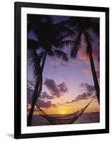 Hammock on Beach, Danarau, Viti Levu, Fiji-Neil Farrin-Framed Photographic Print