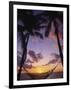 Hammock on Beach, Danarau, Viti Levu, Fiji-Neil Farrin-Framed Photographic Print