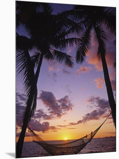 Hammock on Beach, Danarau, Viti Levu, Fiji-Neil Farrin-Mounted Photographic Print