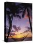 Hammock on Beach, Danarau, Viti Levu, Fiji-Neil Farrin-Stretched Canvas