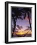 Hammock on Beach, Danarau, Viti Levu, Fiji-Neil Farrin-Framed Photographic Print