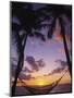 Hammock on Beach, Danarau, Viti Levu, Fiji-Neil Farrin-Mounted Photographic Print