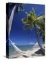 Hammock on Beach, Danarau, Viti Levu, Fiji-Neil Farrin-Stretched Canvas