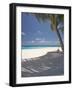 Hammock on Beach, Maldives, Indian Ocean, Asia-Sakis Papadopoulos-Framed Photographic Print