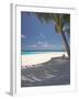 Hammock on Beach, Maldives, Indian Ocean, Asia-Sakis Papadopoulos-Framed Photographic Print