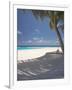 Hammock on Beach, Maldives, Indian Ocean, Asia-Sakis Papadopoulos-Framed Photographic Print