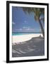 Hammock on Beach, Maldives, Indian Ocean, Asia-Sakis Papadopoulos-Framed Photographic Print