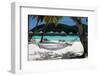 Hammock on Bora Bora Beach-Woolfy-Framed Photographic Print