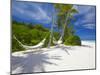 Hammock on Empty Tropical Beach, Maldives, Indian Ocean, Asia-Sakis Papadopoulos-Mounted Photographic Print