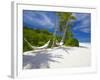 Hammock on Empty Tropical Beach, Maldives, Indian Ocean, Asia-Sakis Papadopoulos-Framed Photographic Print