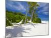 Hammock on Empty Tropical Beach, Maldives, Indian Ocean, Asia-Sakis Papadopoulos-Mounted Photographic Print