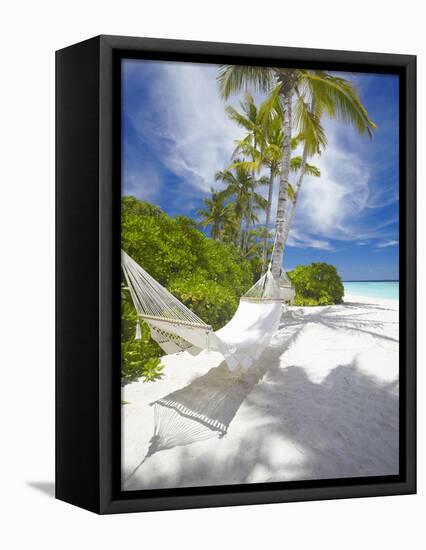 Hammock on Empty Tropical Beach, Maldives, Indian Ocean, Asia-null-Framed Stretched Canvas