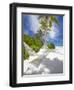 Hammock on Empty Tropical Beach, Maldives, Indian Ocean, Asia-null-Framed Photographic Print