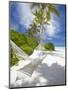 Hammock on Empty Tropical Beach, Maldives, Indian Ocean, Asia-null-Mounted Photographic Print