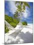 Hammock on Empty Tropical Beach, Maldives, Indian Ocean, Asia-null-Mounted Photographic Print