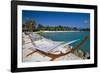 Hammock On Iguana Beach, Aruba-George Oze-Framed Photographic Print