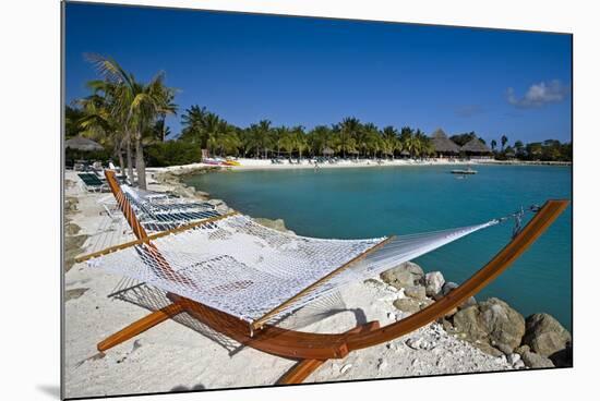 Hammock On Iguana Beach, Aruba-George Oze-Mounted Photographic Print