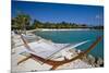 Hammock On Iguana Beach, Aruba-George Oze-Mounted Photographic Print