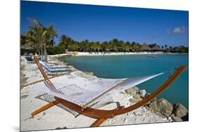 Hammock On Iguana Beach, Aruba-George Oze-Mounted Photographic Print