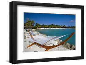 Hammock On Iguana Beach, Aruba-George Oze-Framed Photographic Print