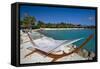 Hammock On Iguana Beach, Aruba-George Oze-Framed Stretched Canvas