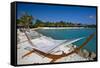 Hammock On Iguana Beach, Aruba-George Oze-Framed Stretched Canvas