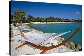 Hammock On Iguana Beach, Aruba-George Oze-Stretched Canvas
