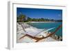 Hammock On Iguana Beach, Aruba-George Oze-Framed Photographic Print