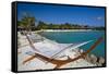 Hammock On Iguana Beach, Aruba-George Oze-Framed Stretched Canvas