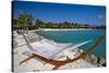 Hammock On Iguana Beach, Aruba-George Oze-Stretched Canvas