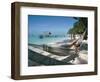 Hammock on the Beach, Tobago, West Indies, Caribbean, Central America-Adam Woolfitt-Framed Photographic Print