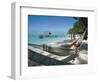 Hammock on the Beach, Tobago, West Indies, Caribbean, Central America-Adam Woolfitt-Framed Photographic Print