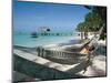 Hammock on the Beach, Tobago, West Indies, Caribbean, Central America-Adam Woolfitt-Mounted Photographic Print