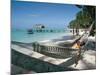 Hammock on the Beach, Tobago, West Indies, Caribbean, Central America-Adam Woolfitt-Mounted Photographic Print