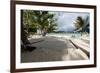 Hammock on the Beach-Woolfy-Framed Photographic Print