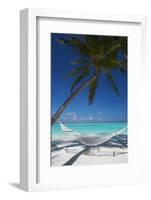 Hammock on Tropical Beach, Maldives, Indian Ocean, Asia-Sakis Papadopoulos-Framed Photographic Print