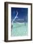 Hammock over the waters of a tropical lagoon, The Maldives, Indian Ocean, Asia-Sakis Papadopoulos-Framed Photographic Print