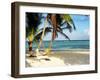 Hammock Paradise-Emily Navas-Framed Photographic Print