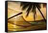 Hammock Silhouette with Palm Trees on a Beautiful Beach at Sunset-Martin Valigursky-Framed Stretched Canvas